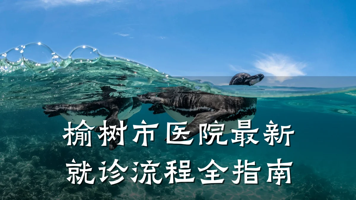 榆树市医院最新就诊流程全指南