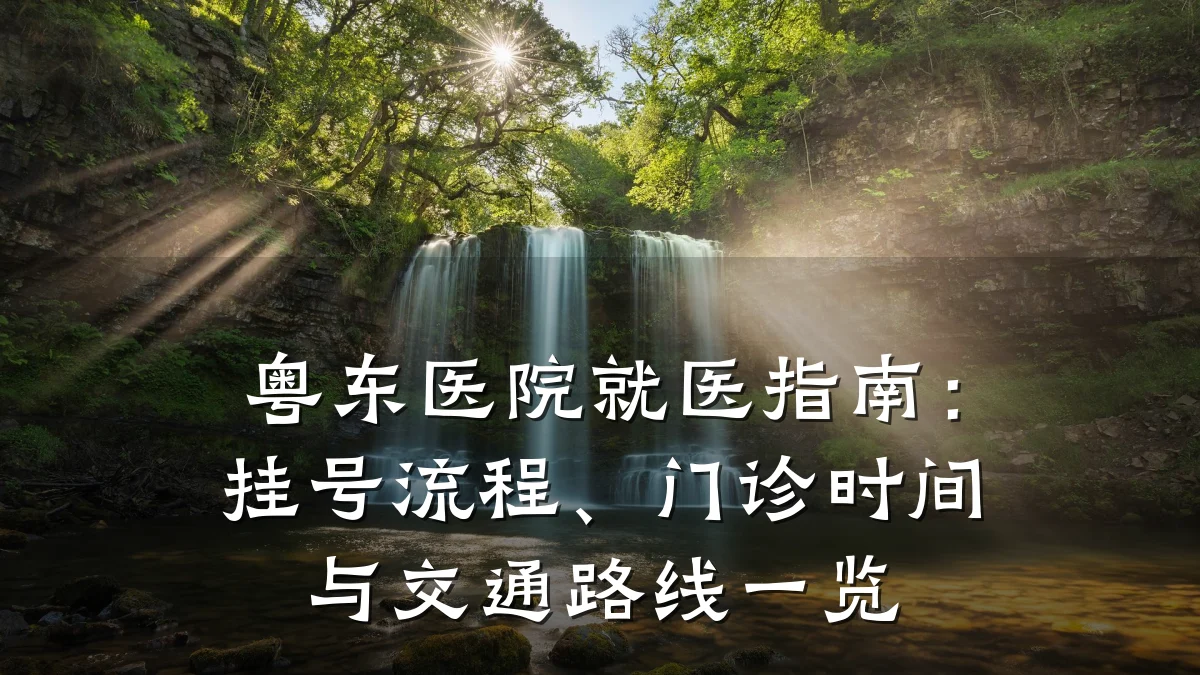 粤东医院就医指南:挂号流程、门诊时间与交通路线一览