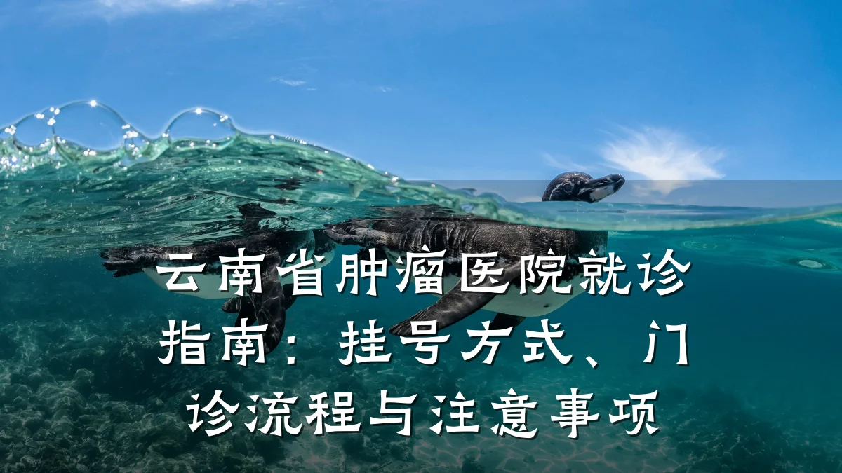 云南省肿瘤医院就诊指南:挂号方式、门诊流程与注意事项