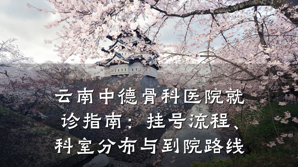云南中德骨科医院就诊指南:挂号流程、科室分布与到院路线