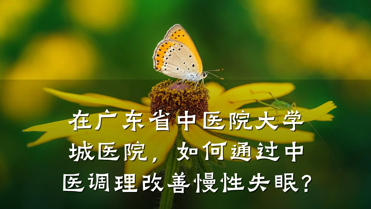 在广东省中医院大学城医院,如何通过中医调理改善慢性失眠?