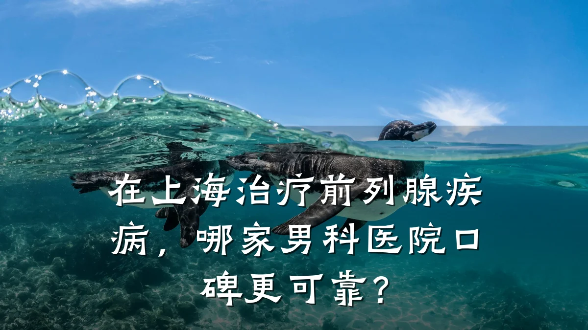 在上海治疗前列腺疾病,哪家男科医院口碑更可靠?
