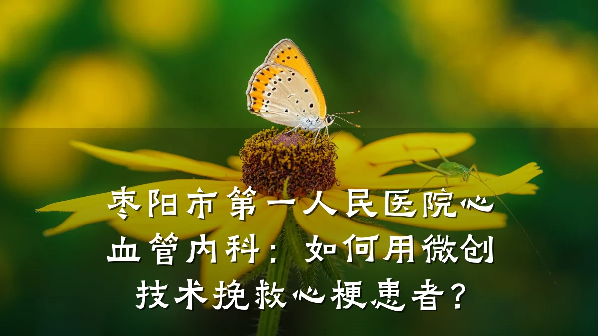 枣阳市第一人民医院心血管内科:如何用微创技术挽救心梗患者?