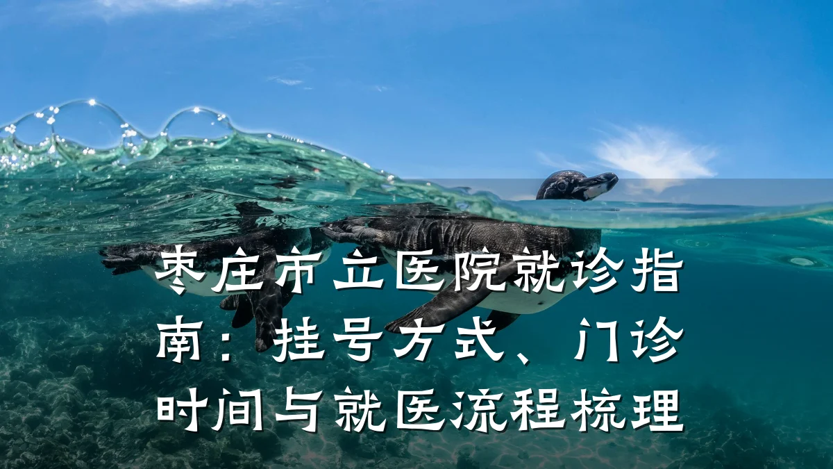枣庄市立医院就诊指南:挂号方式、门诊时间与就医流程梳理