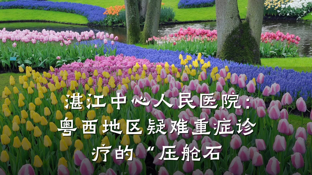 湛江中心人民医院:粤西地区疑难重症诊疗的“压舱石