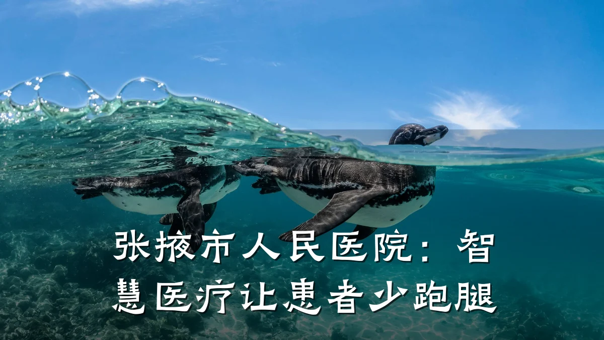 张掖市人民医院:智慧医疗让患者少跑腿
