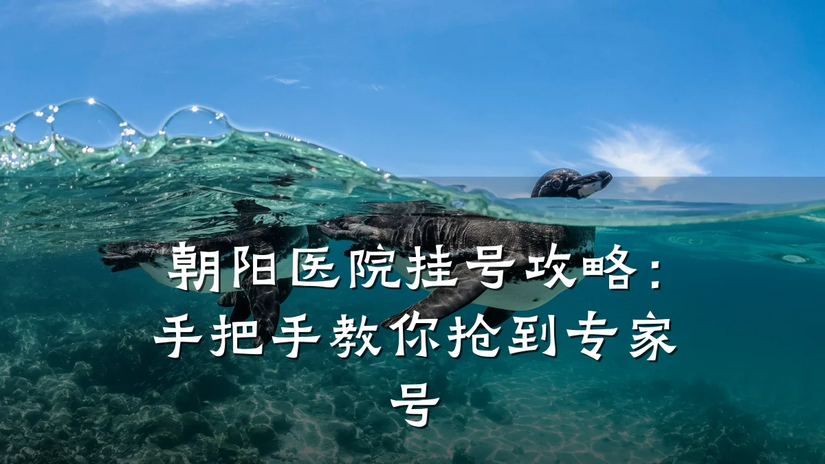 朝阳医院挂号攻略:手把手教你抢到专家号