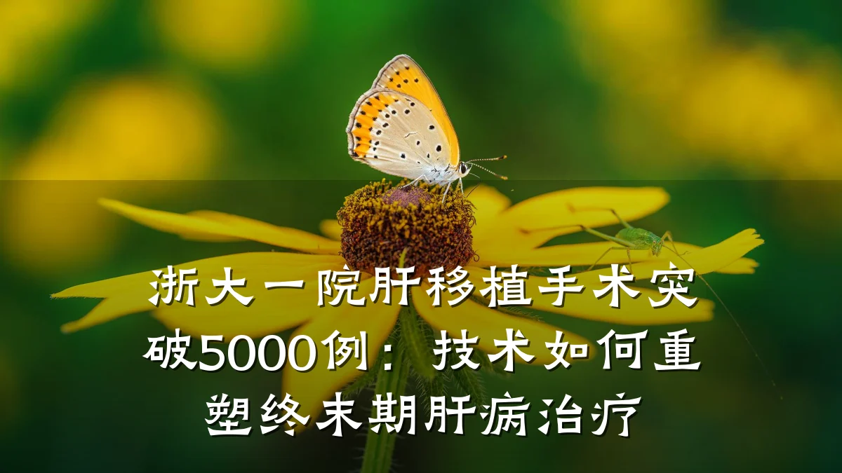 浙大一院肝移植手术突破5000例:技术如何重塑终末期肝病治疗