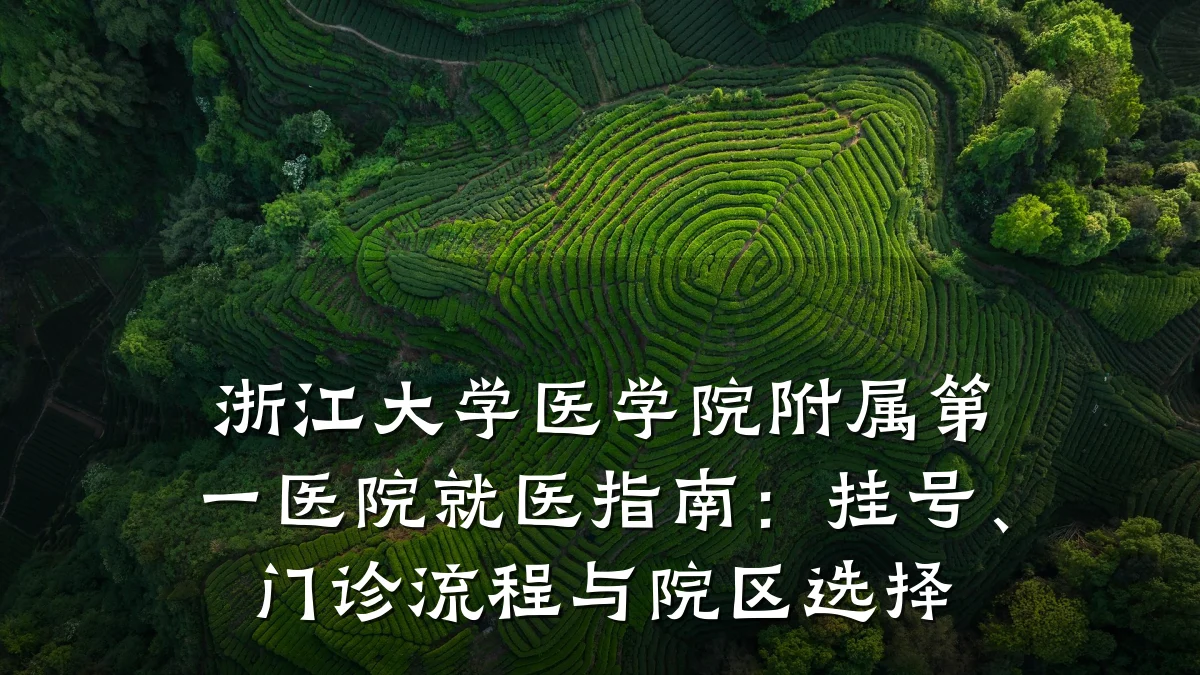 浙江大学医学院附属第一医院就医指南:挂号、门诊流程与院区选择