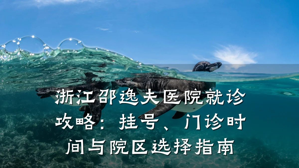 浙江邵逸夫医院就诊攻略:挂号、门诊时间与院区选择指南