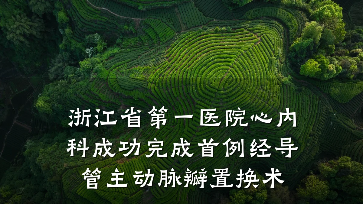 浙江省第一医院心内科成功完成首例经导管主动脉瓣置换术