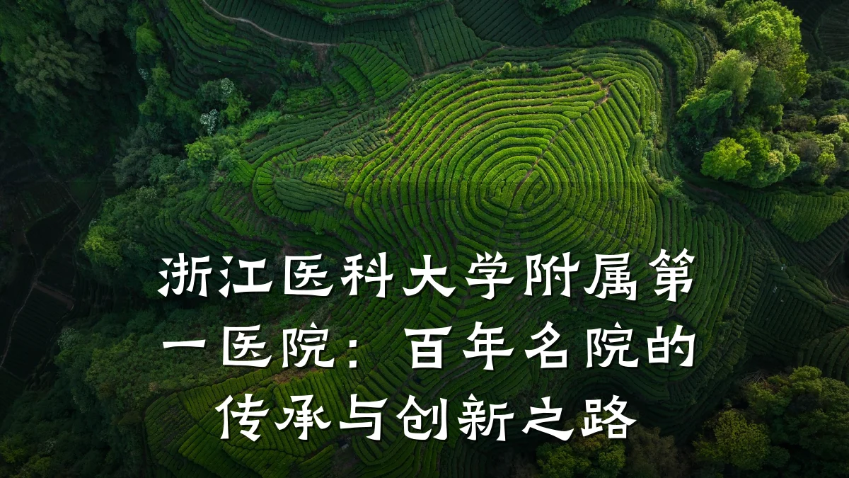 浙江医科大学附属第一医院:百年名院的传承与创新之路