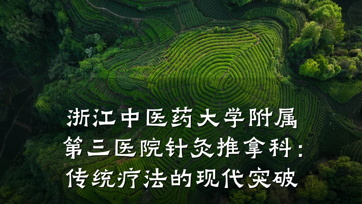 浙江中医药大学附属第三医院针灸推拿科:传统疗法的现代突破