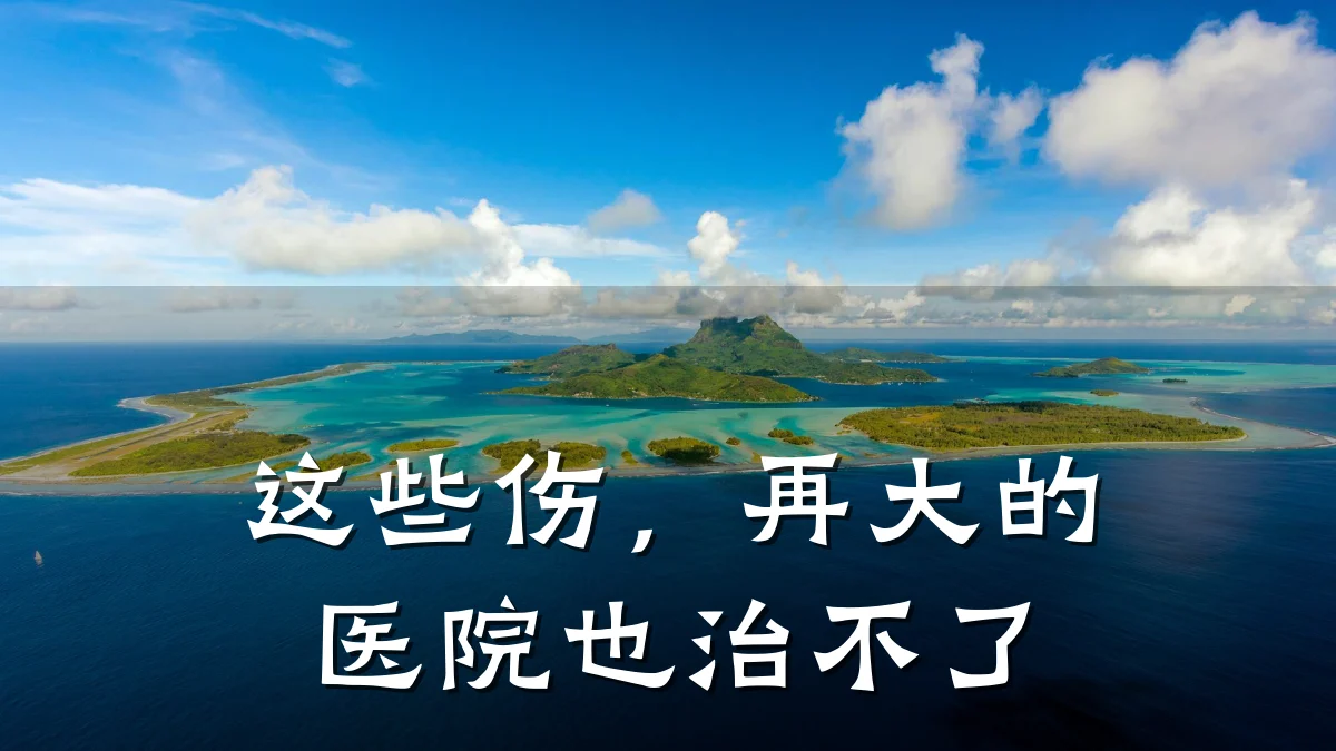 这些伤,再大的医院也治不了