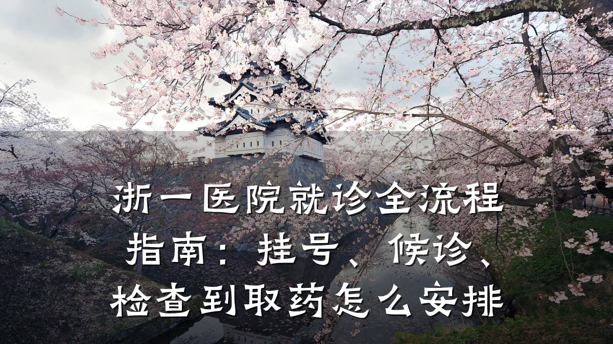 浙一医院就诊全流程指南:挂号、候诊、检查到取药怎么安排