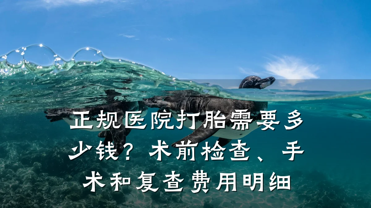 正规医院打胎需要多少钱?术前检查、手术和复查费用明细