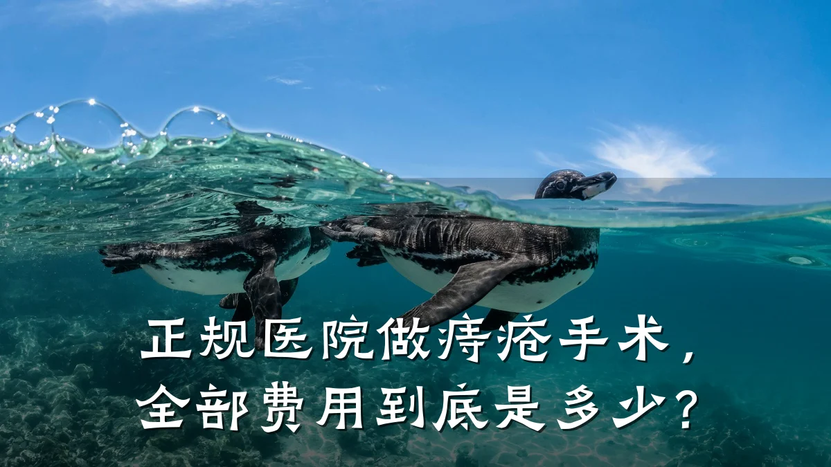正规医院做痔疮手术,全部费用到底是多少?