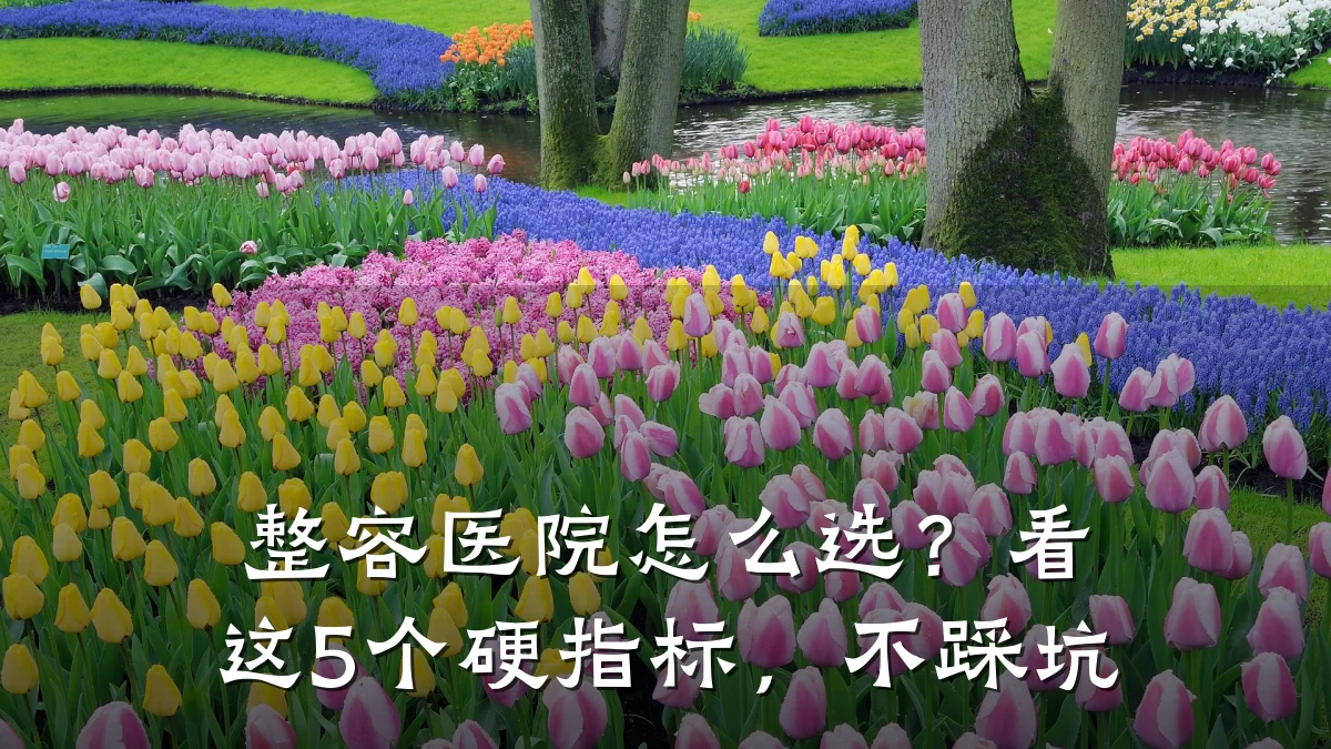 整容医院怎么选?看这5个硬指标,不踩坑