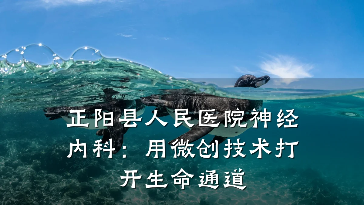 正阳县人民医院神经内科:用微创技术打开生命通道
