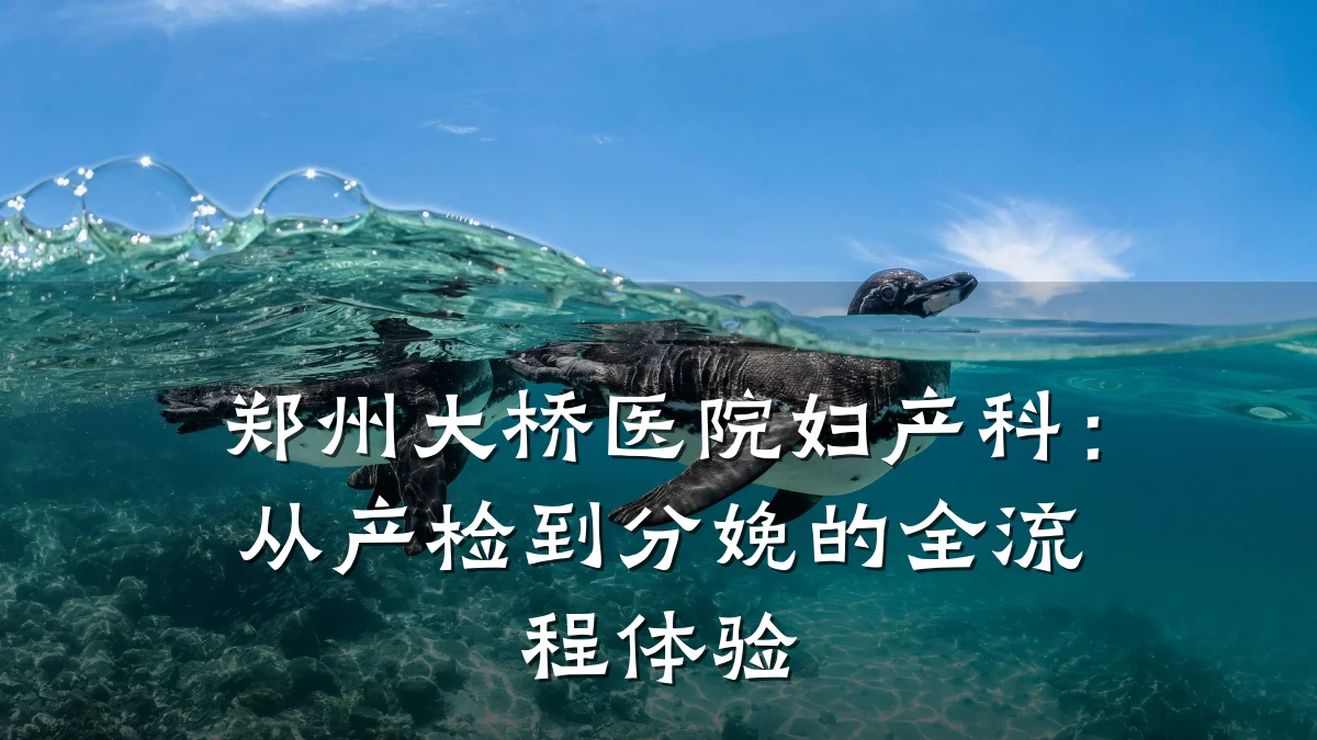 郑州大桥医院妇产科:从产检到分娩的全流程体验