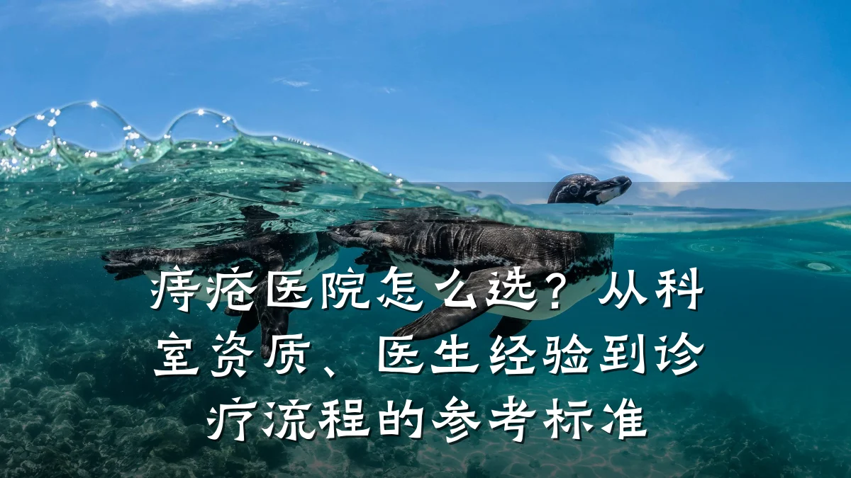 痔疮医院怎么选?从科室资质、医生经验到诊疗流程的参考标准
