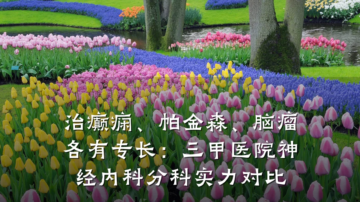 治癫痫、帕金森、脑瘤各有专长:三甲医院神经内科分科实力对比