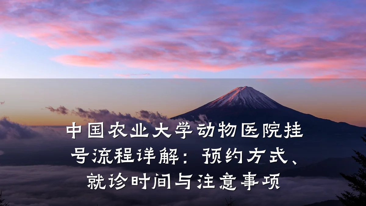 中国农业大学动物医院挂号流程详解:预约方式、就诊时间与注意事项