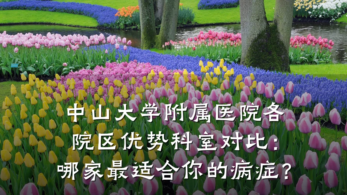 中山大学附属医院各院区优势科室对比:哪家最适合你的病症?