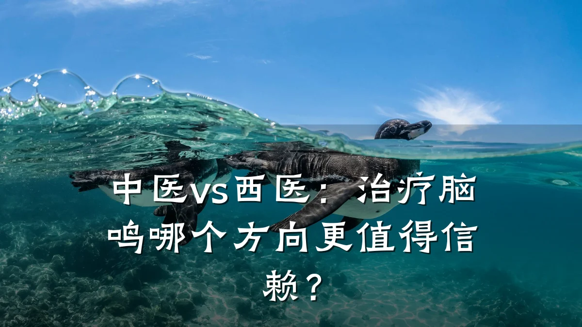 中医vs西医:治疗脑鸣哪个方向更值得信赖?