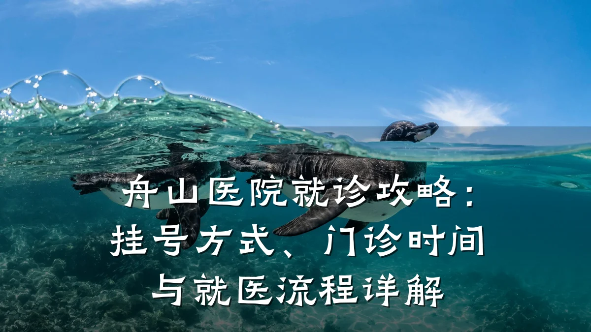 舟山医院就诊攻略:挂号方式、门诊时间与就医流程详解