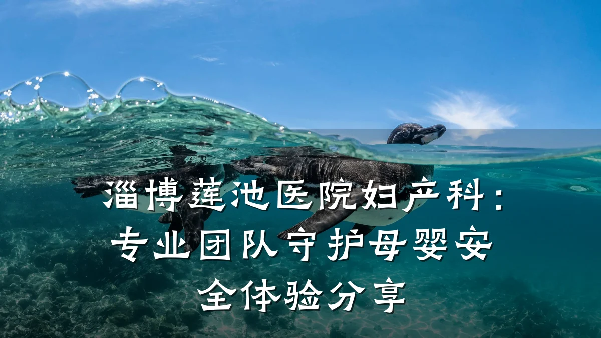 淄博莲池医院妇产科:专业团队守护母婴安全体验分享