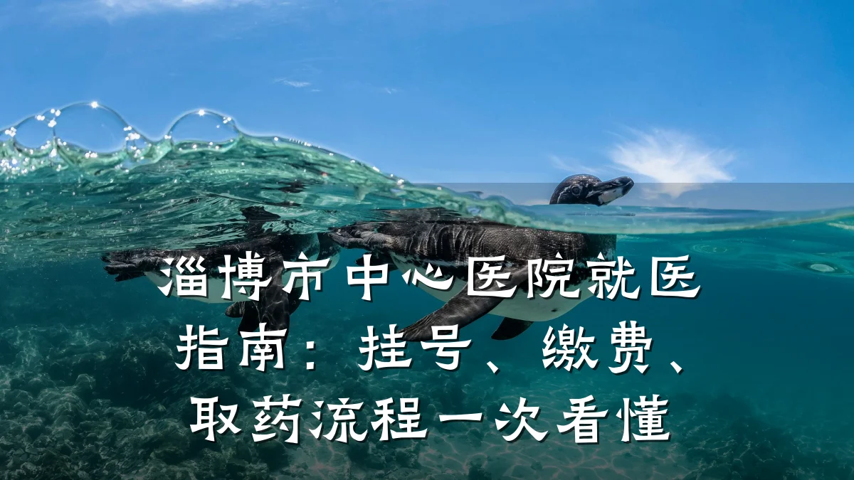 淄博市中心医院就医指南:挂号、缴费、取药流程一次看懂