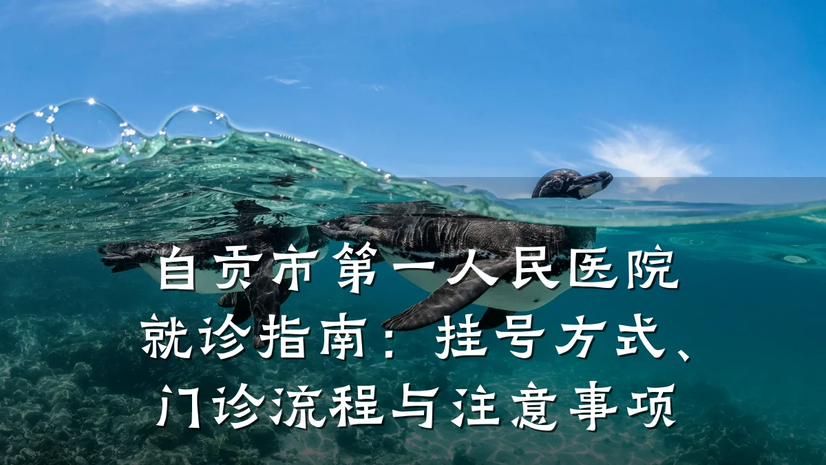 自贡市第一人民医院就诊指南:挂号方式、门诊流程与注意事项