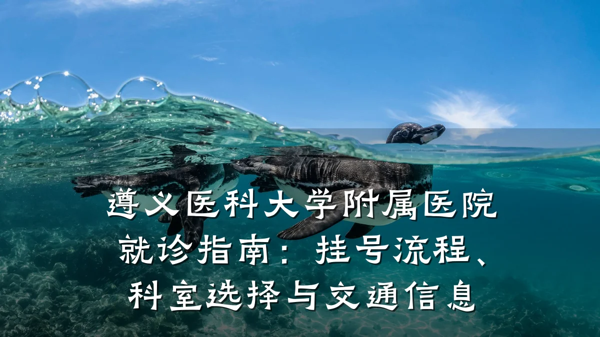 遵义医科大学附属医院就诊指南:挂号流程、科室选择与交通信息