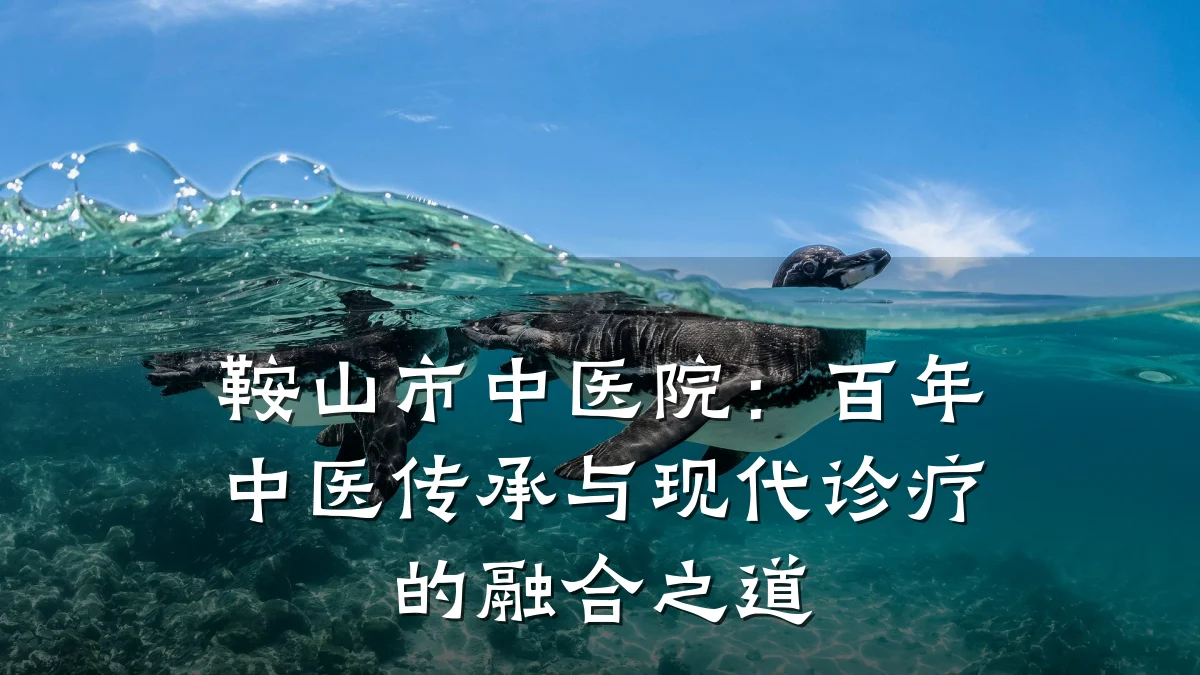 鞍山市中医院:百年中医传承与现代诊疗的融合之道