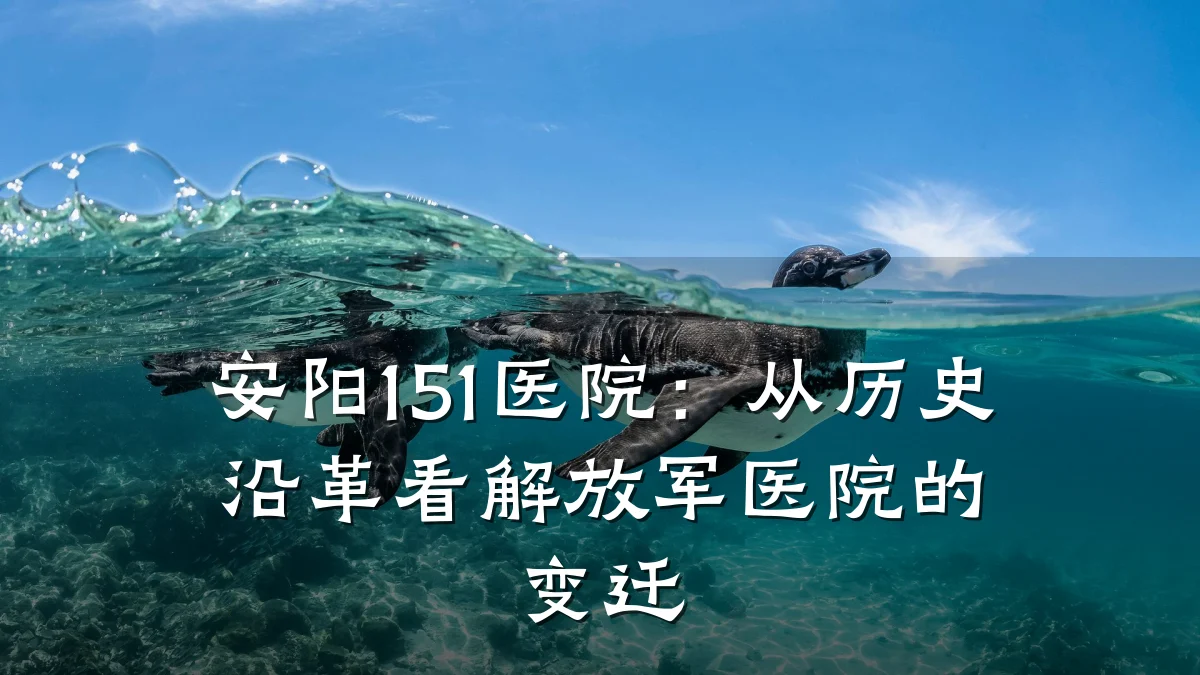 安阳151医院：从历史沿革看解放军医院的变迁