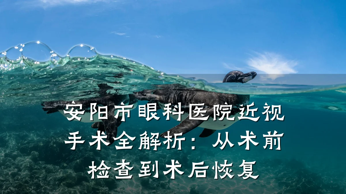 安阳市眼科医院近视手术全解析：从术前检查到术后恢复