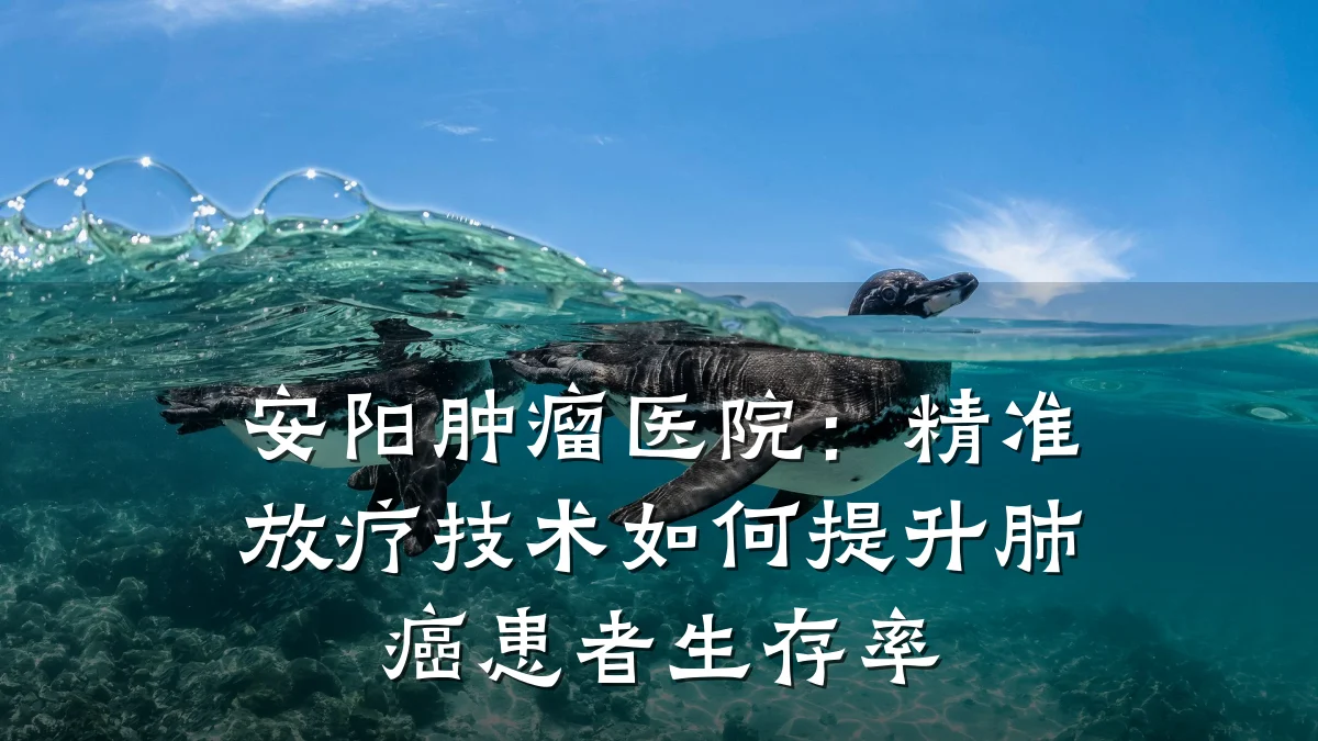 安阳肿瘤医院:精准放疗技术如何提升肺癌患者生存率