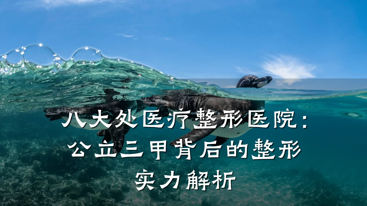 八大处医疗整形医院:公立三甲背后的整形实力解析