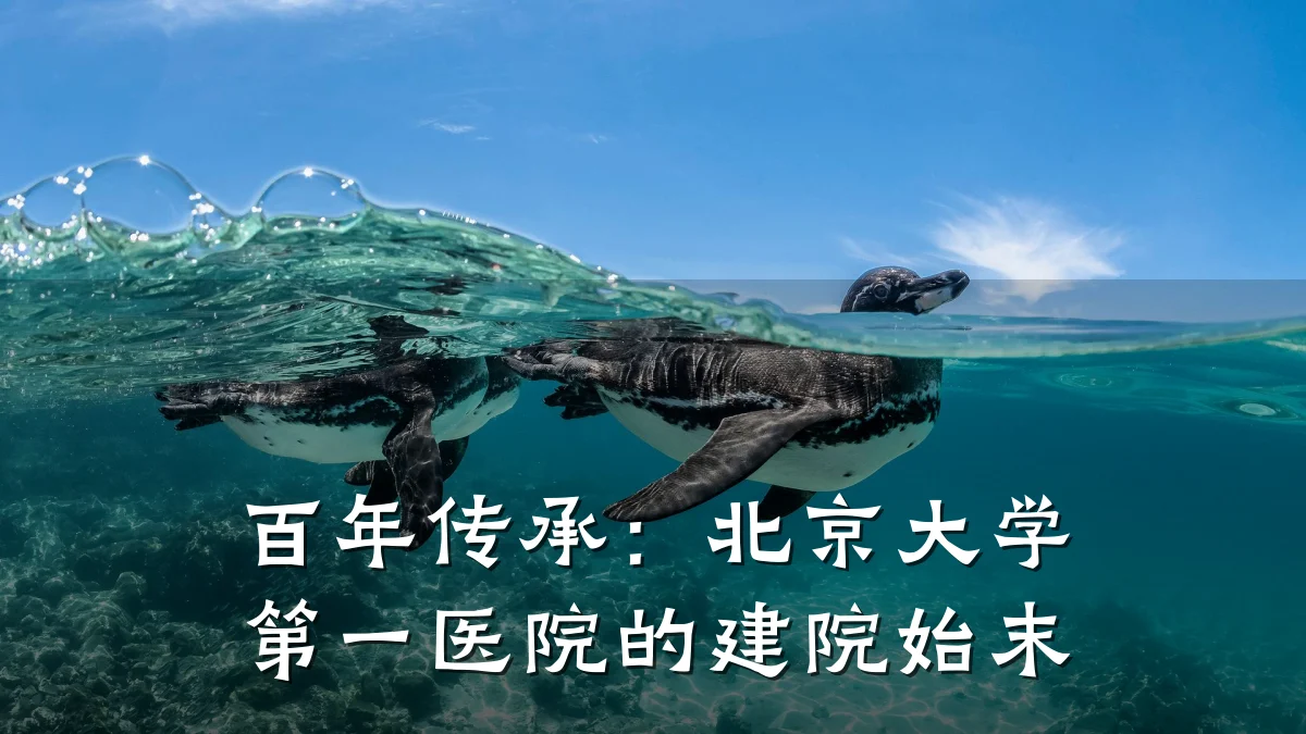 百年传承:北京大学第一医院的建院始末