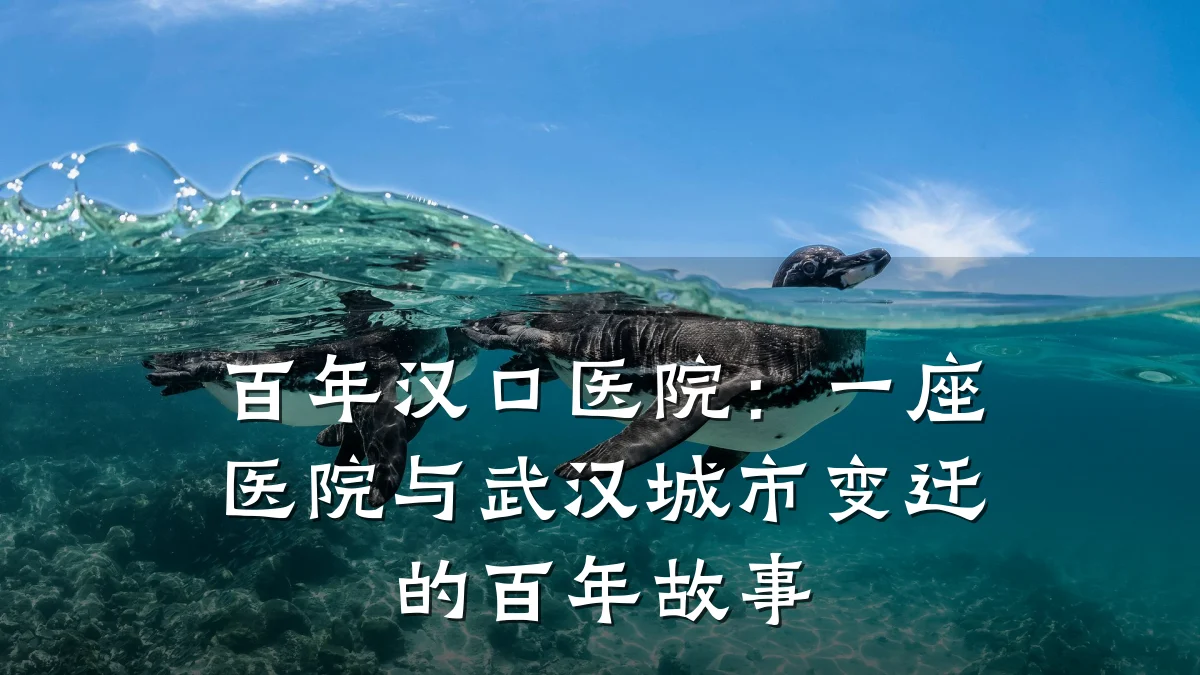 百年汉口医院:一座医院与武汉城市变迁的百年故事