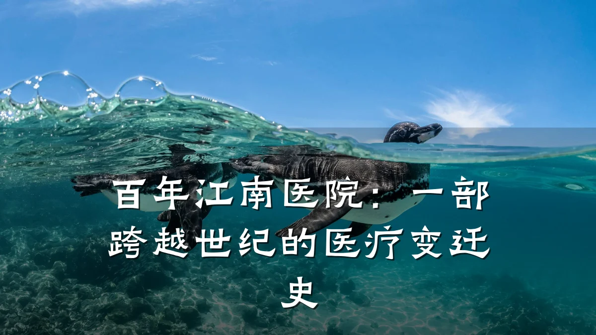 百年江南医院:一部跨越世纪的医疗变迁史