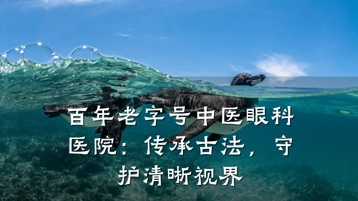 百年老字号中医眼科医院:传承古法,守护清晰视界