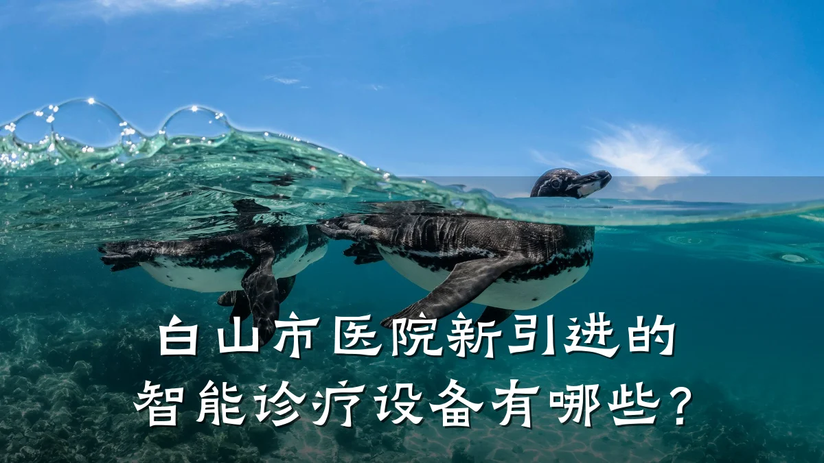 白山市医院新引进的智能诊疗设备有哪些？