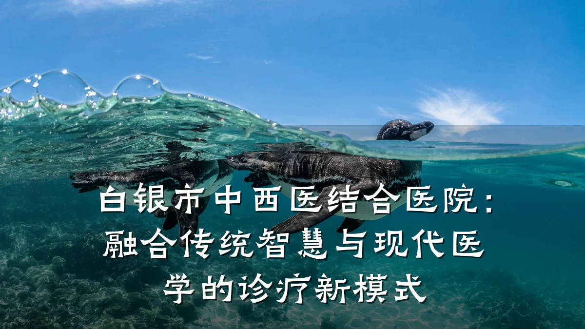 白银市中西医结合医院：融合传统智慧与现代医学的诊疗新模式