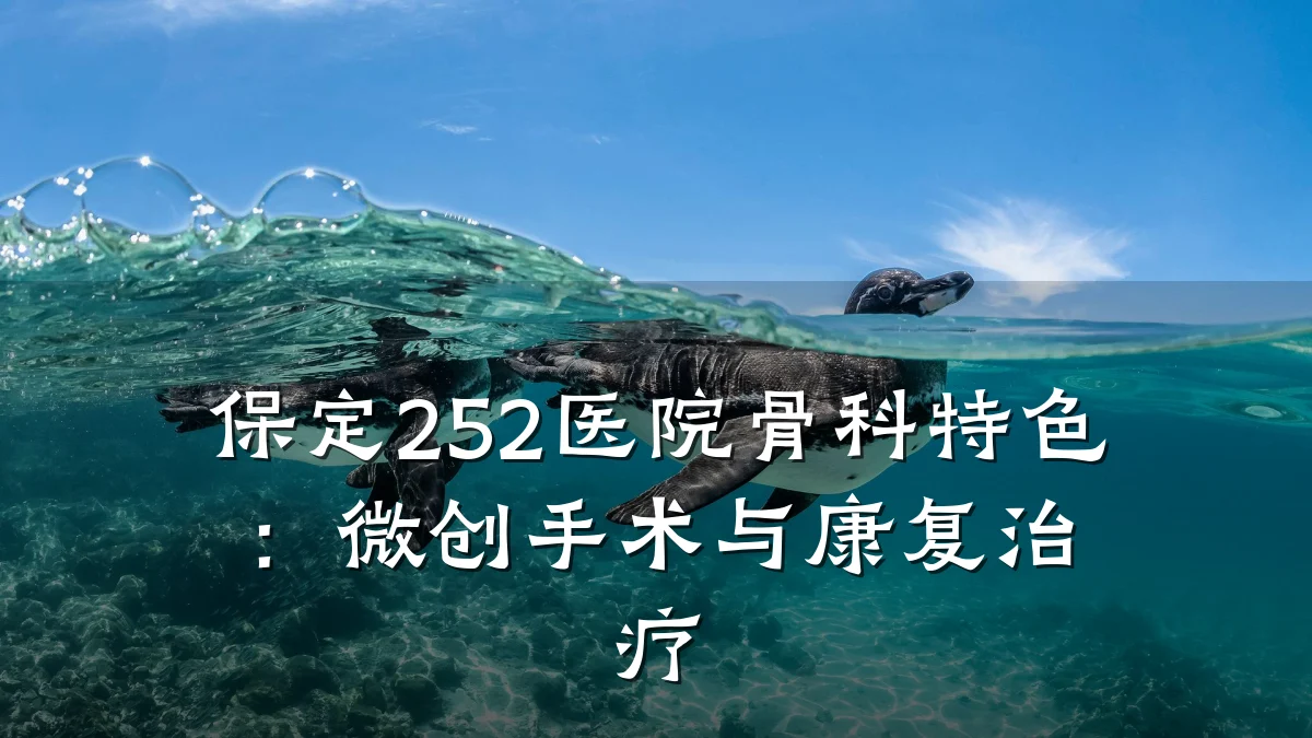 保定252医院骨科特色:微创手术与康复治疗