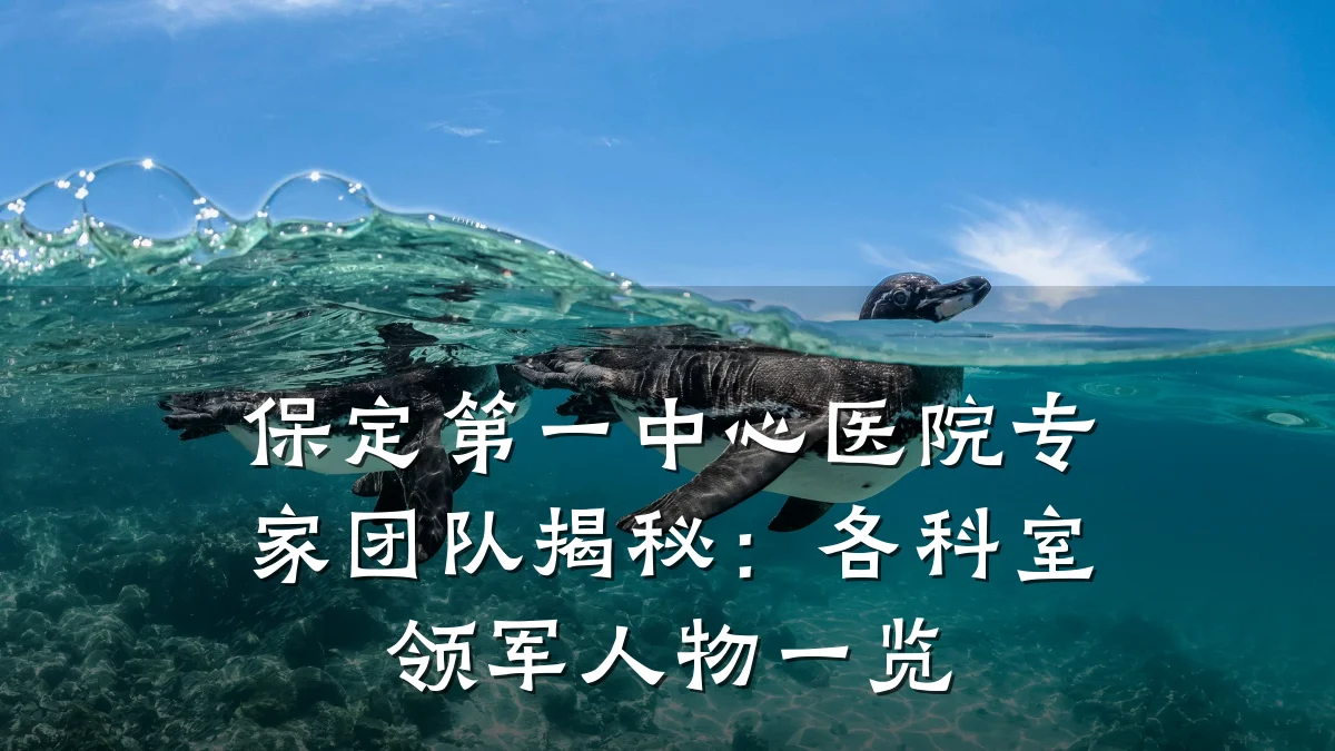 保定第一中心医院专家团队揭秘:各科室领军人物一览