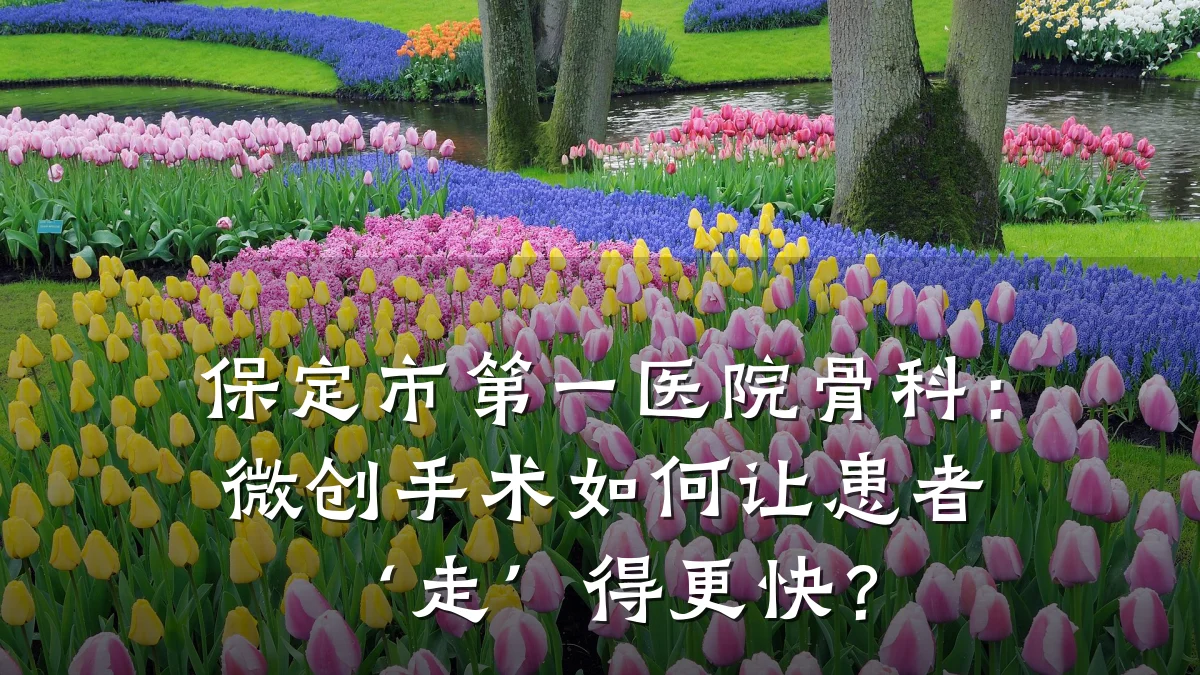 保定市第一医院骨科：微创手术如何让患者‘走’得更快？