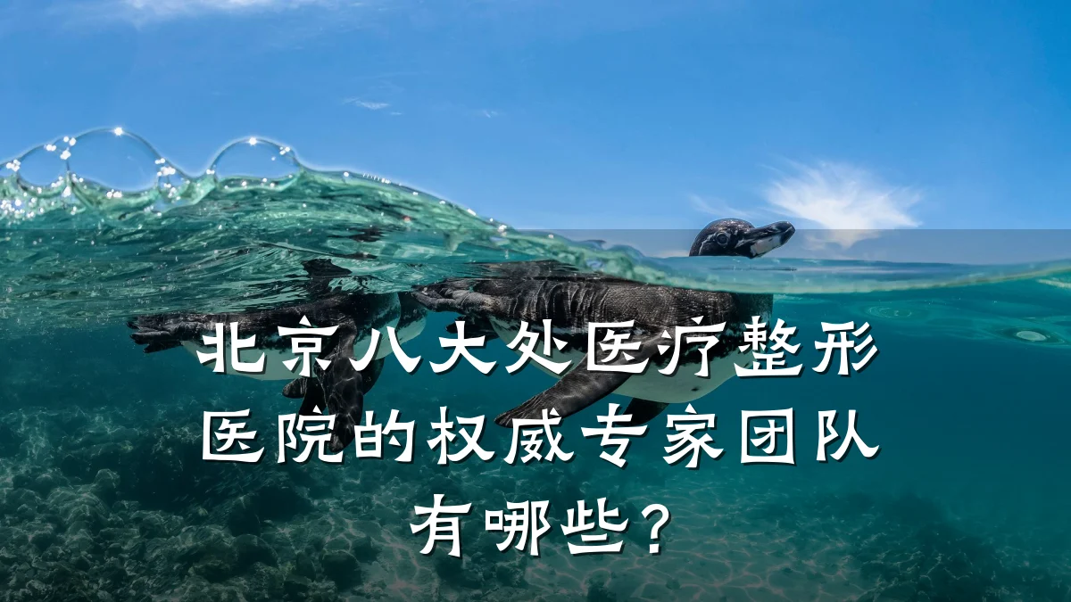 北京八大处医疗整形医院的权威专家团队有哪些?