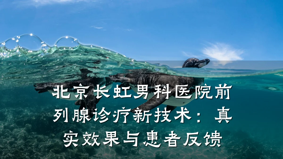 北京长虹男科医院前列腺诊疗新技术：真实效果与患者反馈